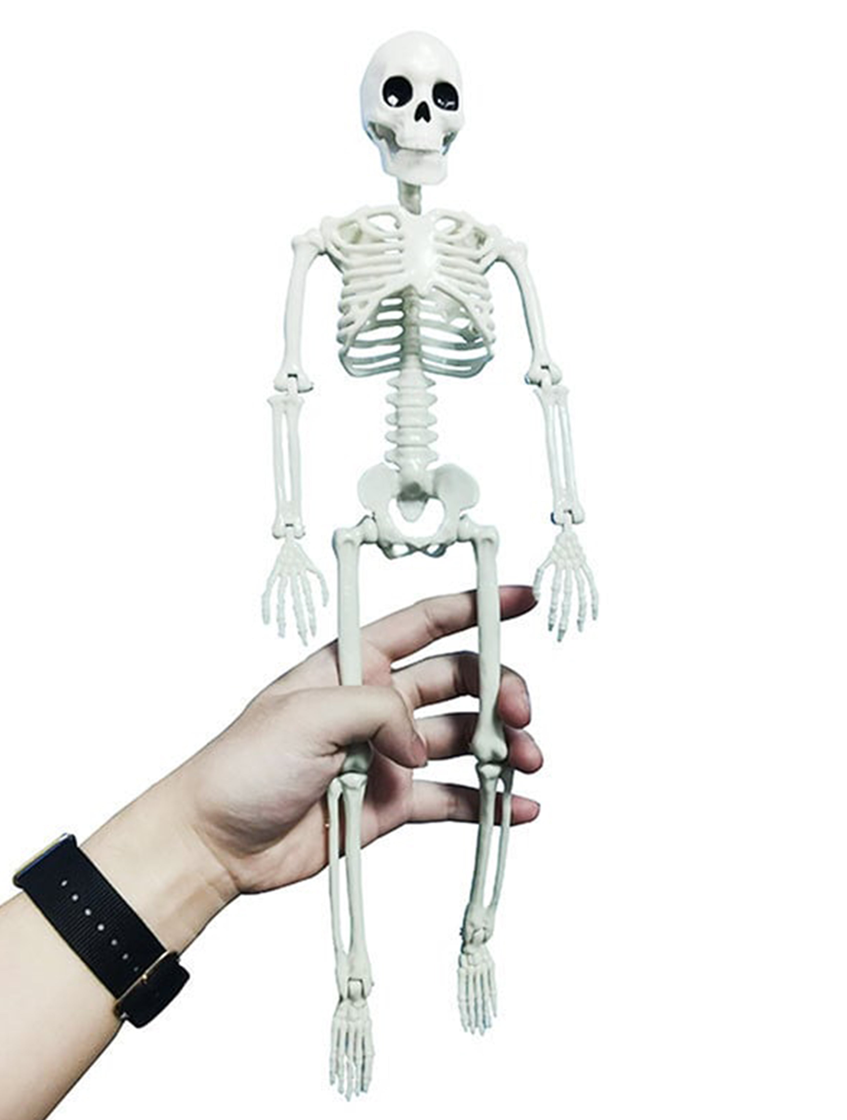 Mr. Bones