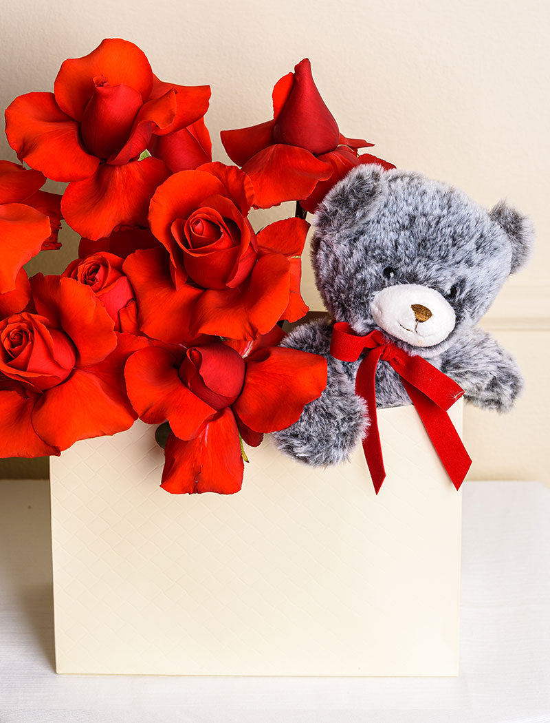 TEDDY TO GO RED