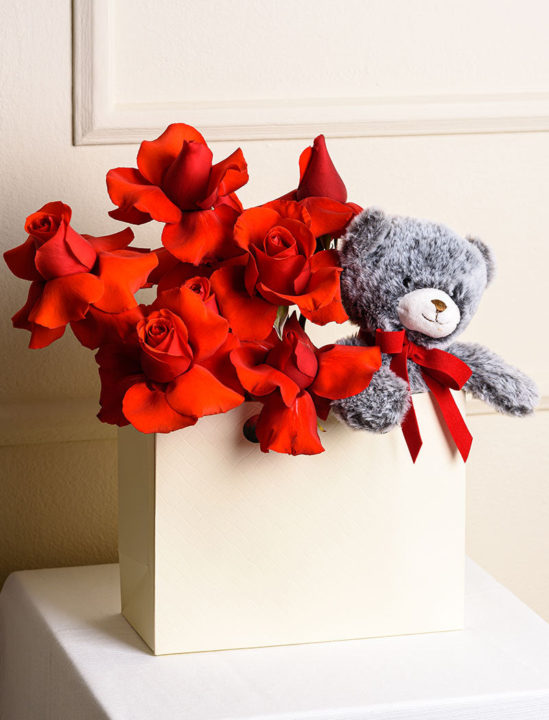 TEDDY TO GO RED