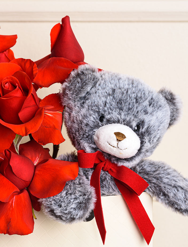 TEDDY TO GO RED