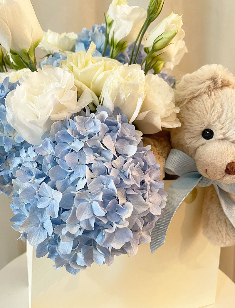 TEDDY TO GO BABY