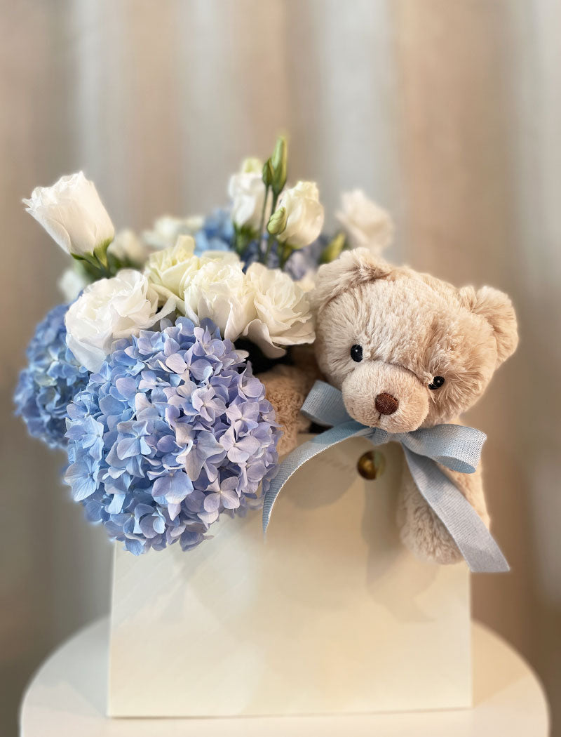 TEDDY TO GO BABY