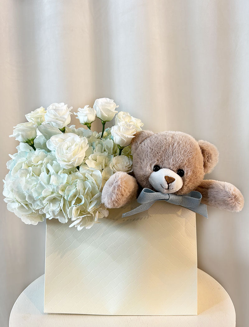 TEDDY TO GO BABY