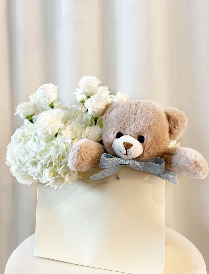 TEDDY TO GO BABY