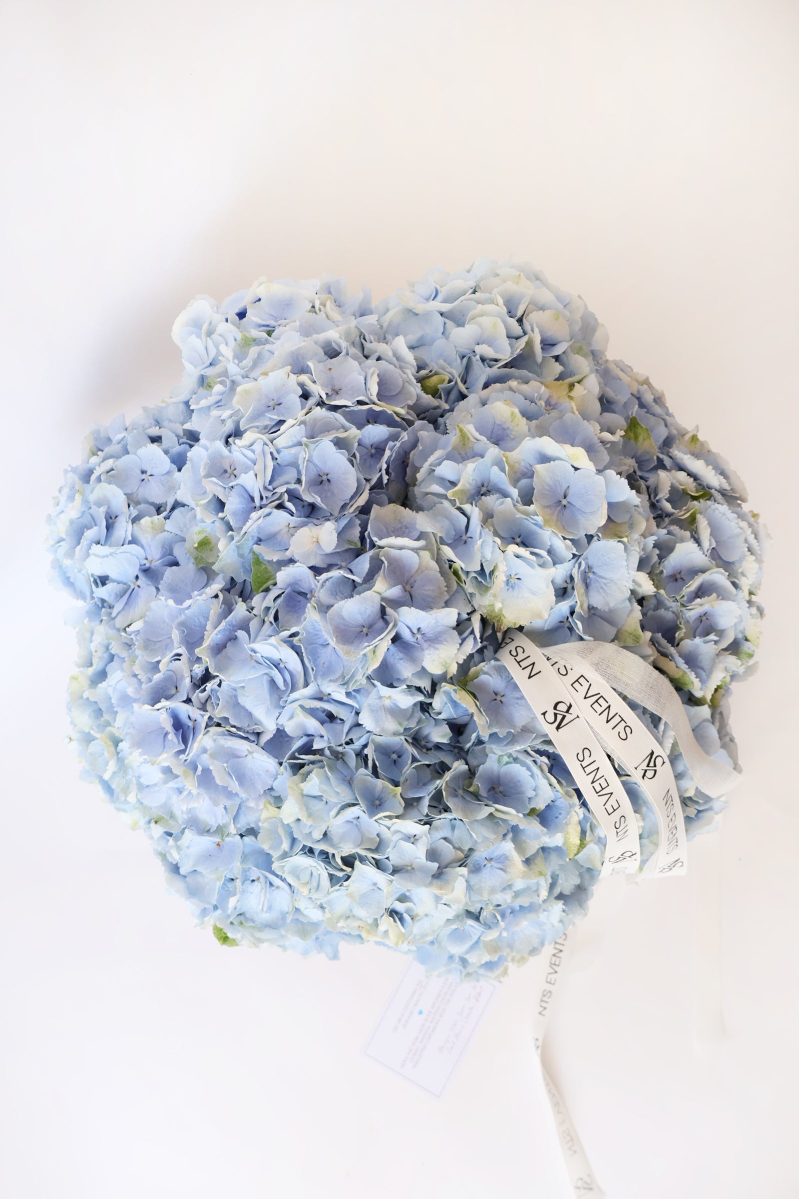 Flower basket "Hydrangea Bliss"