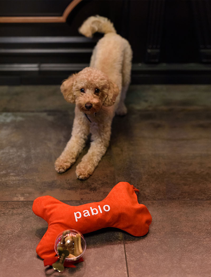 CHRISTMAS PABLO SET