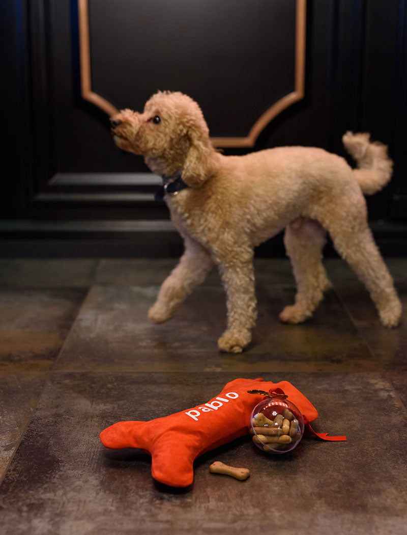 CHRISTMAS DOGINGS