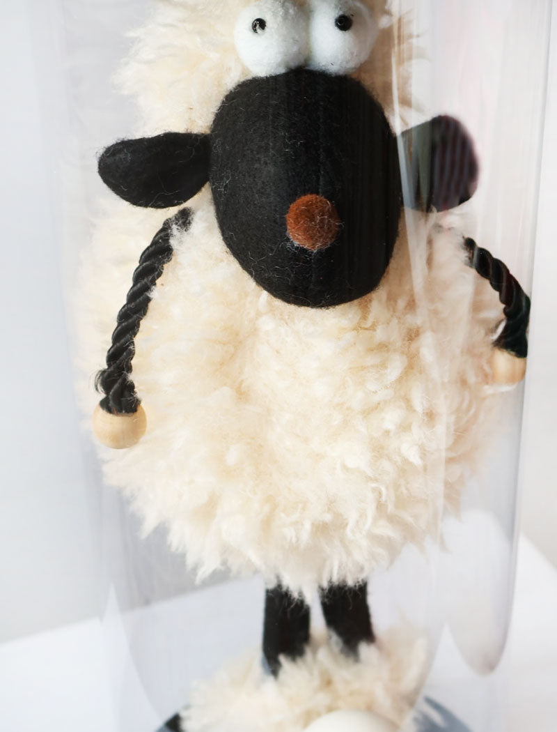 Sheepy Shine Gift
