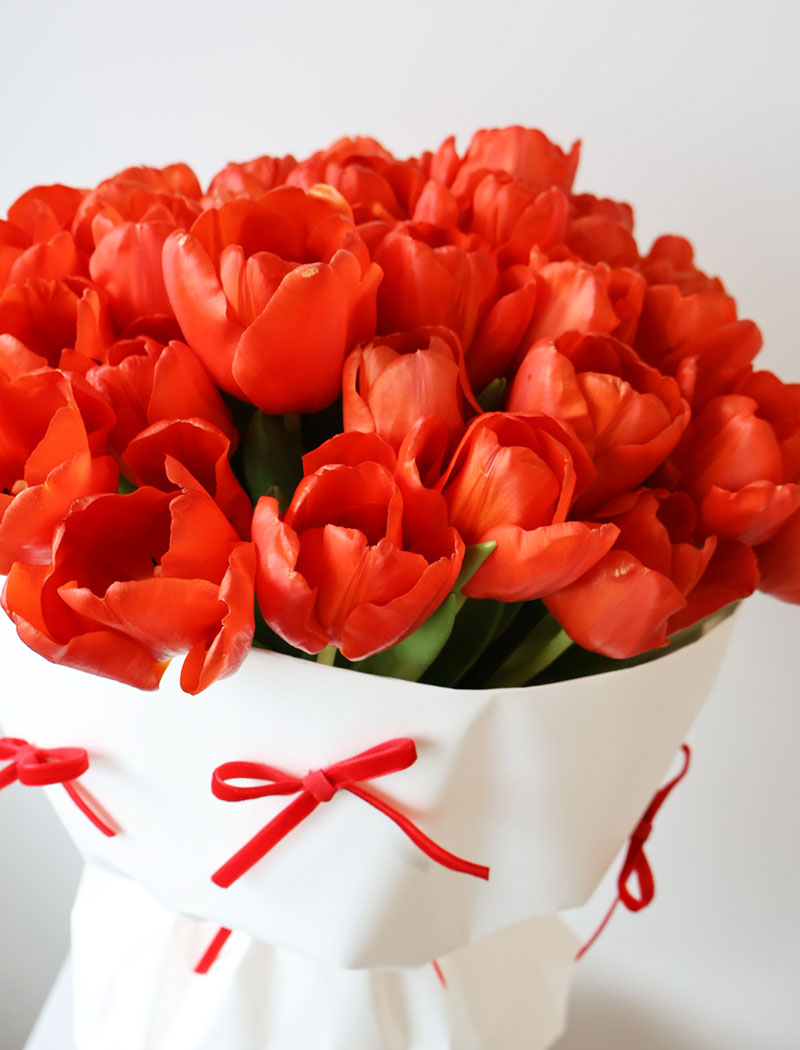 Tulip bow bouquet