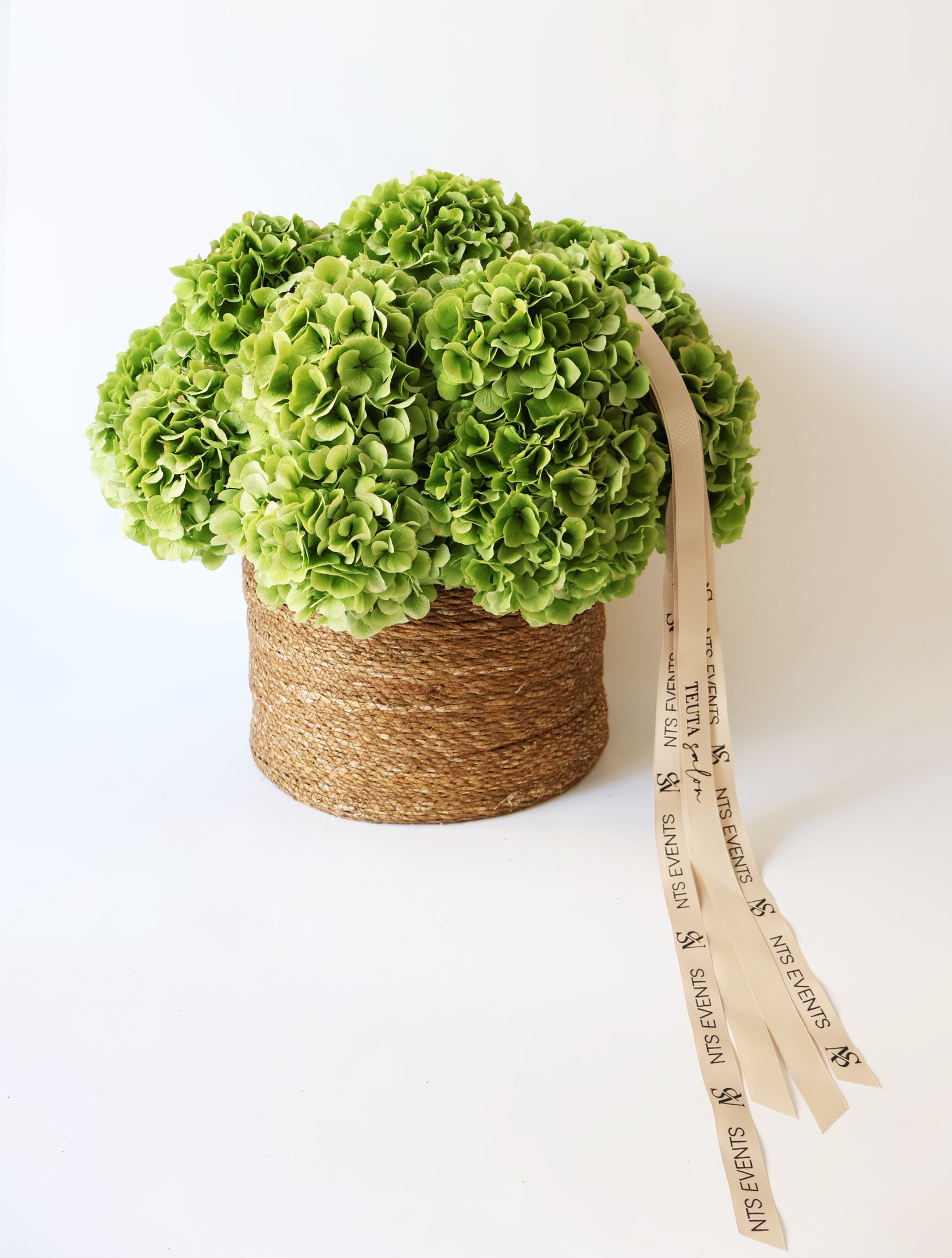 Flower basket "Hydrangea Bliss"