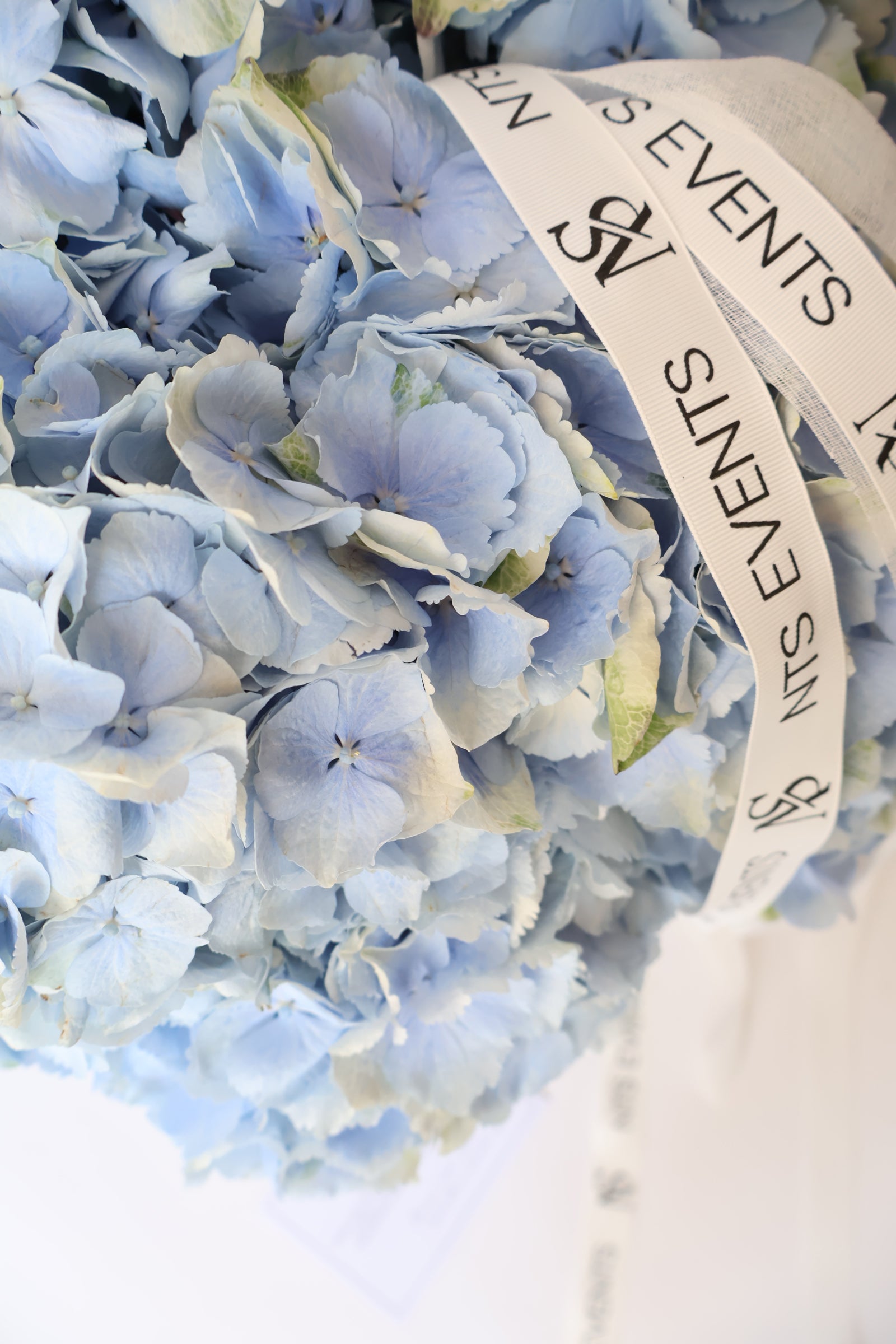 Flower basket "Hydrangea Bliss"