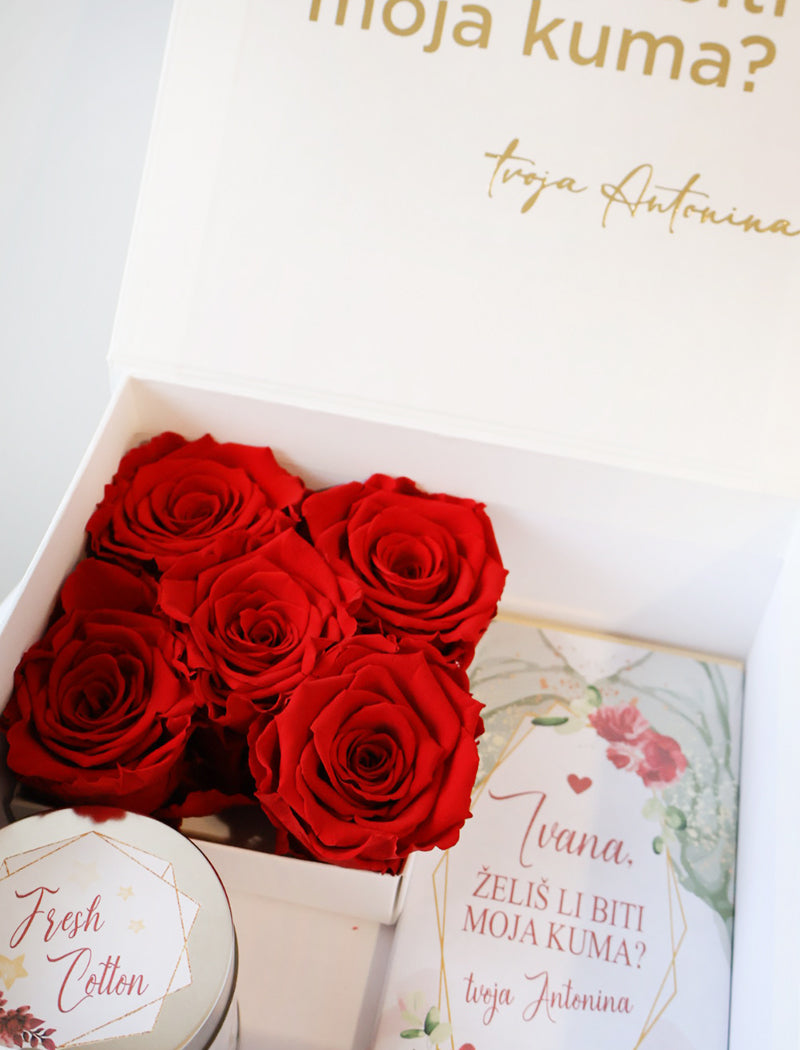 Kuma box RED ROSE