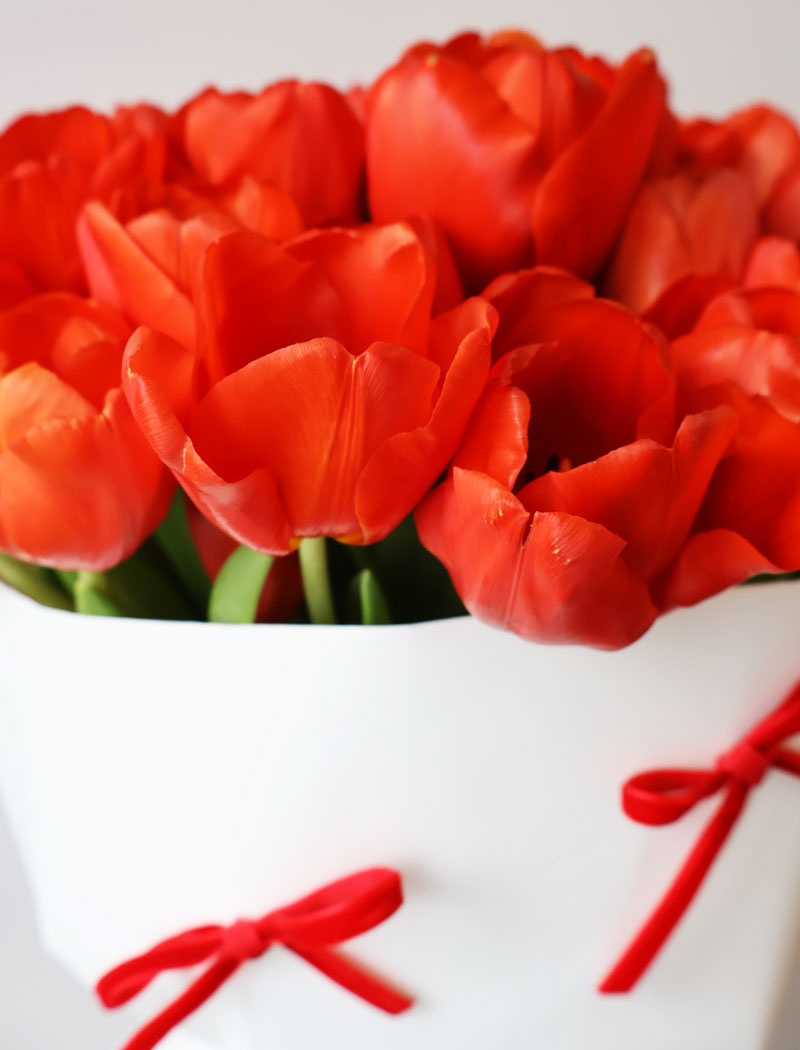 Tulip bow bouquet